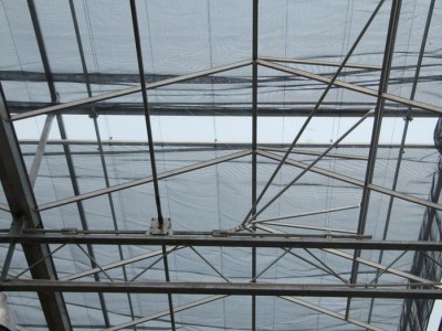 陽(yáng)光板溫室